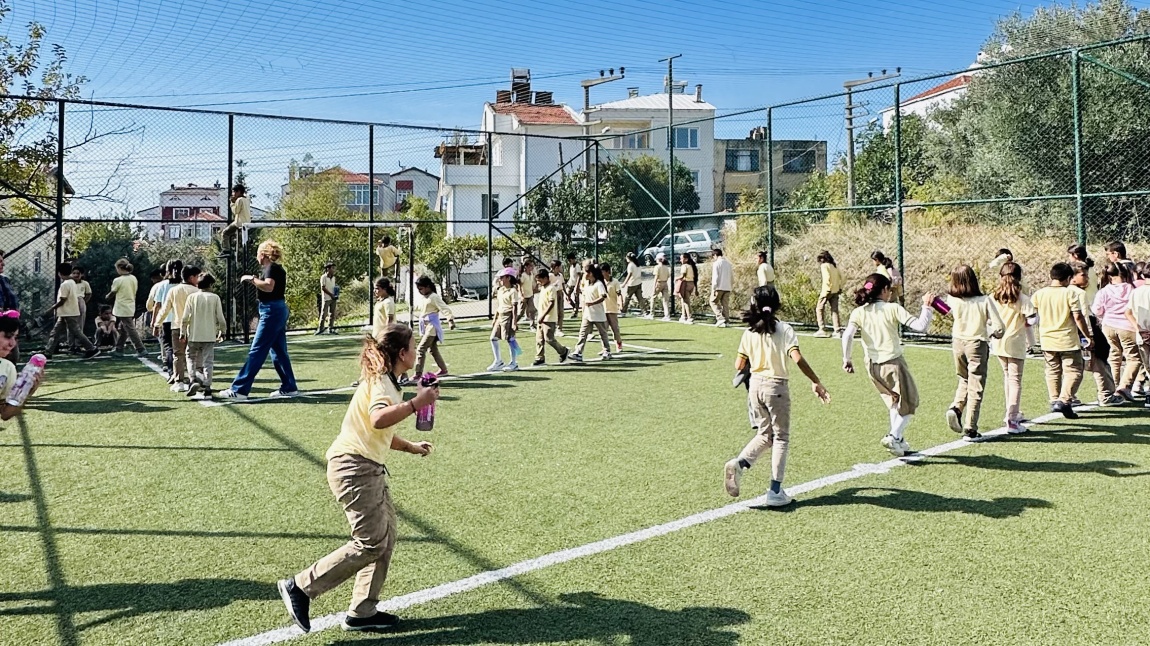 Dünya Yürüyüş Günü 